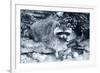 Raccoon 2-Gordon Semmens-Framed Photographic Print