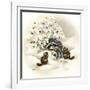 Raccoon, Chipmunks and Christmas Lights-Peggy Harris-Framed Giclee Print