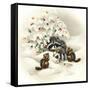 Raccoon, Chipmunks and Christmas Lights-Peggy Harris-Framed Stretched Canvas