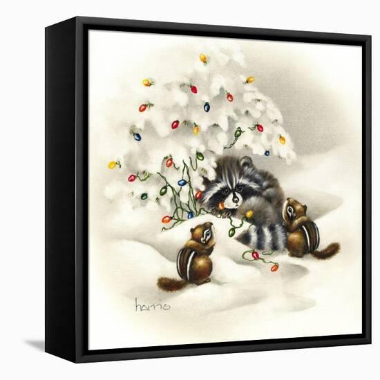 Raccoon, Chipmunks and Christmas Lights-Peggy Harris-Framed Stretched Canvas