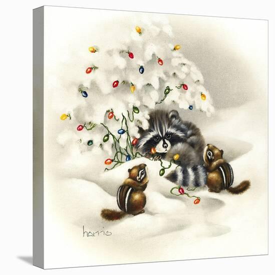 Raccoon, Chipmunks and Christmas Lights-Peggy Harris-Stretched Canvas