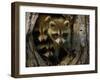 Raccoon Family in Hollow of Tree-W. Perry Conway-Framed Photographic Print