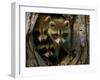 Raccoon Family in Hollow of Tree-W. Perry Conway-Framed Photographic Print