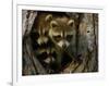 Raccoon Family in Hollow of Tree-W. Perry Conway-Framed Photographic Print