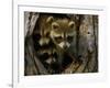 Raccoon Family in Hollow of Tree-W. Perry Conway-Framed Photographic Print