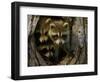 Raccoon Family in Hollow of Tree-W. Perry Conway-Framed Photographic Print