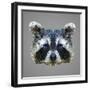 Raccoon Low Poly Portrait-kakmyc-Framed Art Print