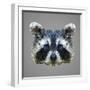 Raccoon Low Poly Portrait-kakmyc-Framed Art Print