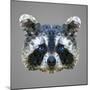 Raccoon Low Poly Portrait-kakmyc-Mounted Art Print