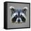 Raccoon Low Poly Portrait-kakmyc-Framed Stretched Canvas