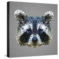 Raccoon Low Poly Portrait-kakmyc-Stretched Canvas