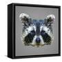 Raccoon Low Poly Portrait-kakmyc-Framed Stretched Canvas