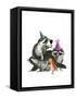 Raccoon Party-Fab Funky-Framed Stretched Canvas