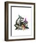 Raccoon Party-Fab Funky-Framed Art Print