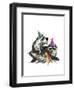 Raccoon Party-Fab Funky-Framed Art Print