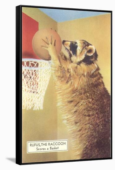 Raccoon Playing Basketball-null-Framed Stretched Canvas