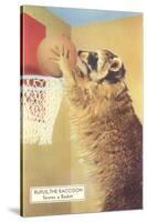 Raccoon Playing Basketball-null-Stretched Canvas