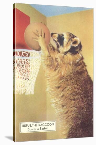 Raccoon Playing Basketball-null-Stretched Canvas