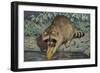 Raccoon Washing Corn-null-Framed Premium Giclee Print