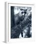 Raccoon-Gordon Semmens-Framed Photographic Print