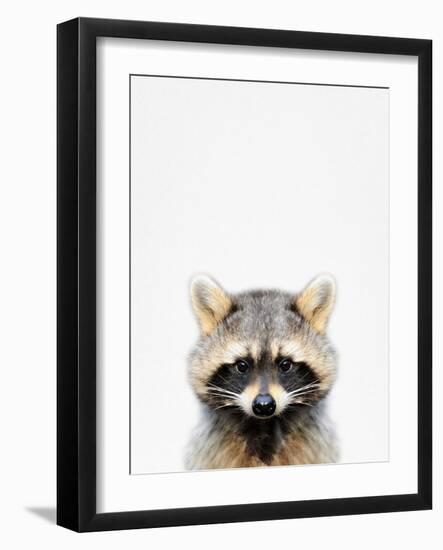 Raccoon-Tai Prints-Framed Photographic Print