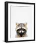 Raccoon-Tai Prints-Framed Photographic Print