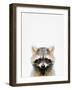 Raccoon-Tai Prints-Framed Photographic Print