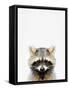 Raccoon-Tai Prints-Framed Stretched Canvas