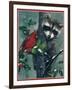 Raccoon-William Vanderdasson-Framed Giclee Print