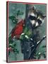 Raccoon-William Vanderdasson-Stretched Canvas