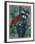 Raccoon-William Vanderdasson-Framed Giclee Print