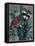 Raccoon-William Vanderdasson-Framed Stretched Canvas