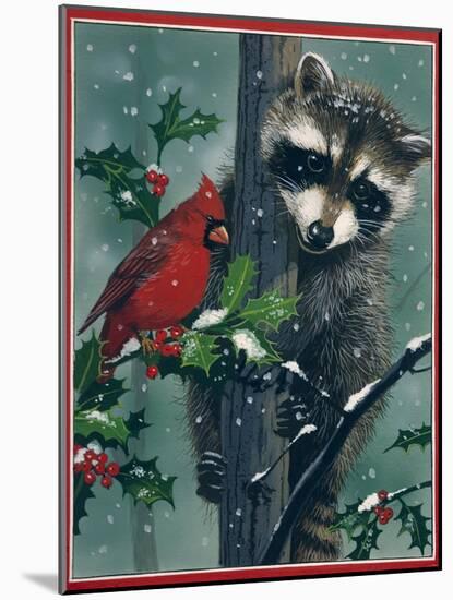 Raccoon-William Vanderdasson-Mounted Giclee Print