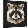 Raccoon-Lora Kroll-Mounted Art Print