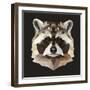 Raccoon-Lora Kroll-Framed Art Print