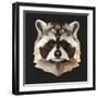 Raccoon-Lora Kroll-Framed Art Print