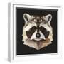 Raccoon-Lora Kroll-Framed Art Print