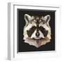 Raccoon-Lora Kroll-Framed Art Print