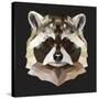 Raccoon-Lora Kroll-Stretched Canvas