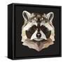 Raccoon-Lora Kroll-Framed Stretched Canvas