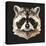 Raccoon-Lora Kroll-Stretched Canvas