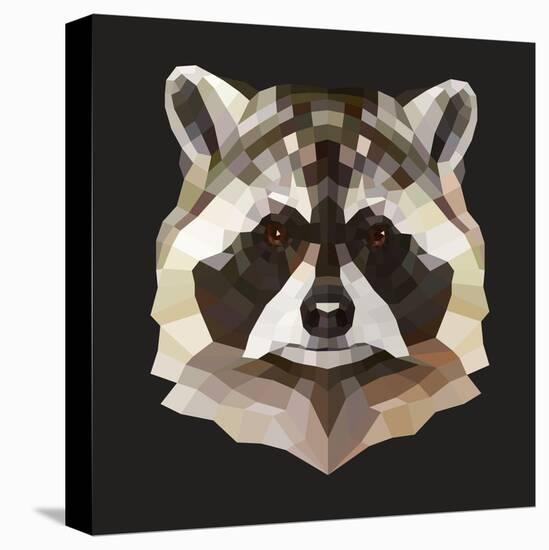 Raccoon-Lora Kroll-Stretched Canvas