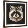 Raccoon-Lora Kroll-Framed Art Print