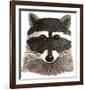 Raccoon-Jeannine Saylor-Framed Art Print