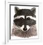 Raccoon-Jeannine Saylor-Framed Art Print