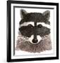 Raccoon-Jeannine Saylor-Framed Art Print