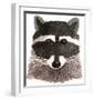 Raccoon-Jeannine Saylor-Framed Art Print