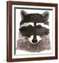 Raccoon-Jeannine Saylor-Framed Art Print