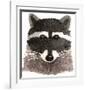 Raccoon-Jeannine Saylor-Framed Art Print