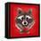 Raccoon-Bella Dos Santos-Framed Stretched Canvas